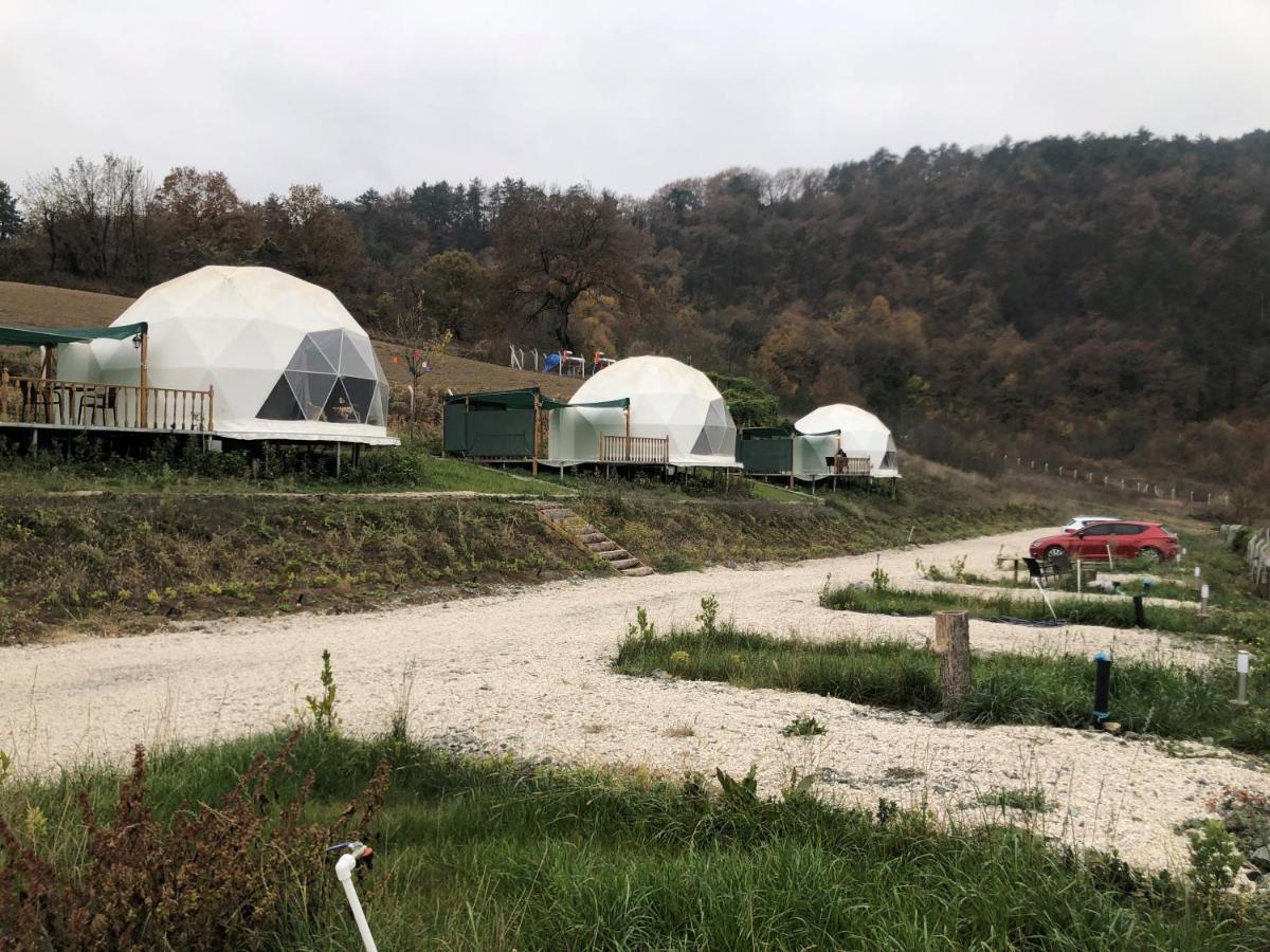 ホテル Dengekoru Wildlife & Glamping Mudurnu エクステリア 写真