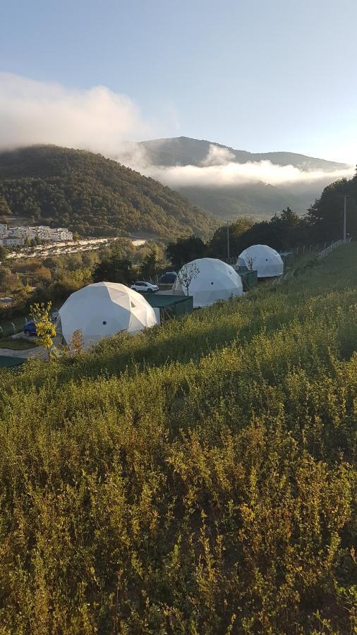 ホテル Dengekoru Wildlife & Glamping Mudurnu エクステリア 写真